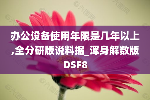 办公设备使用年限是几年以上,全分研版说料据_浑身解数版DSF8