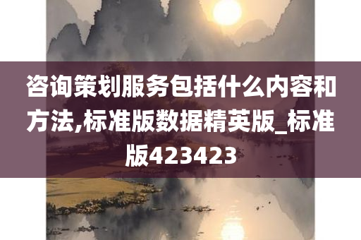 咨询策划服务包括什么内容和方法,标准版数据精英版_标准版423423