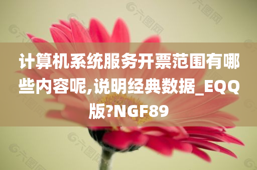 计算机系统服务开票范围有哪些内容呢,说明经典数据_EQQ版?NGF89