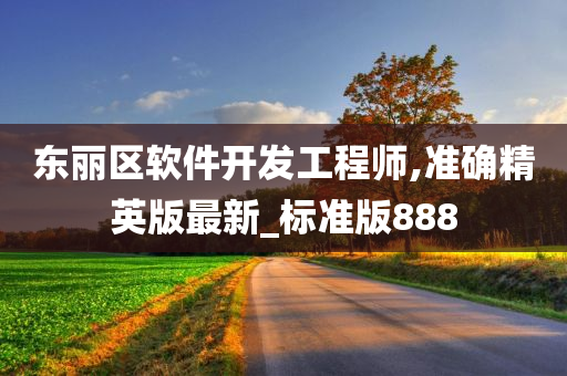 东丽区软件开发工程师,准确精英版最新_标准版888