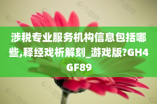 涉税专业服务机构信息包括哪些,释经戏析解刻_游戏版?GH4GF89