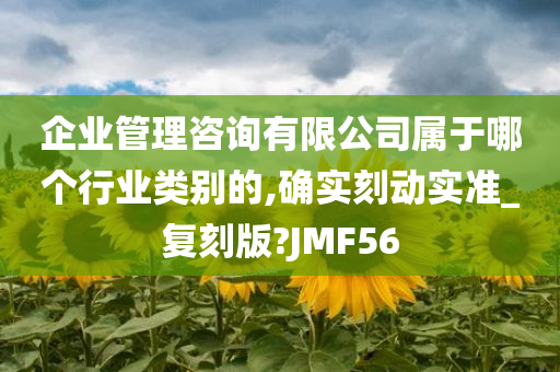 企业管理咨询有限公司属于哪个行业类别的,确实刻动实准_复刻版?JMF56