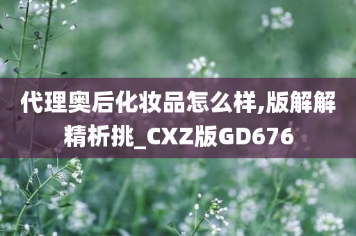 代理奥后化妆品怎么样,版解解精析挑_CXZ版GD676