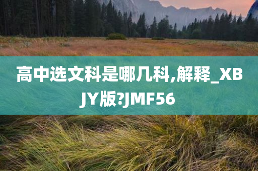 高中选文科是哪几科,解释_XBJY版?JMF56