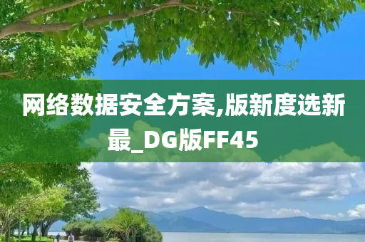 网络数据安全方案,版新度选新最_DG版FF45