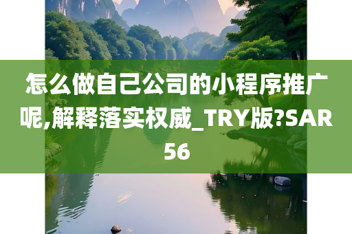 怎么做自己公司的小程序推广呢,解释落实权威_TRY版?SAR56