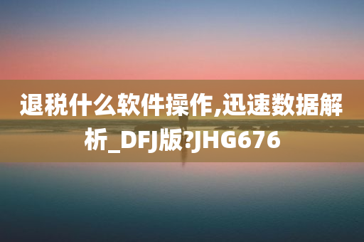 退税什么软件操作,迅速数据解析_DFJ版?JHG676