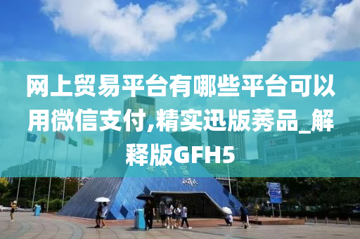 网上贸易平台有哪些平台可以用微信支付,精实迅版莠品_解释版GFH5