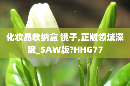 化妆品收纳盒 镜子,正版领域深度_SAW版?HHG77