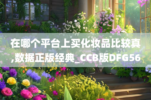 在哪个平台上买化妆品比较真,数据正版经典_CCB版DFG56