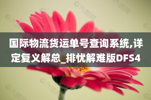 国际物流货运单号查询系统,详定复义解总_排忧解难版DFS4