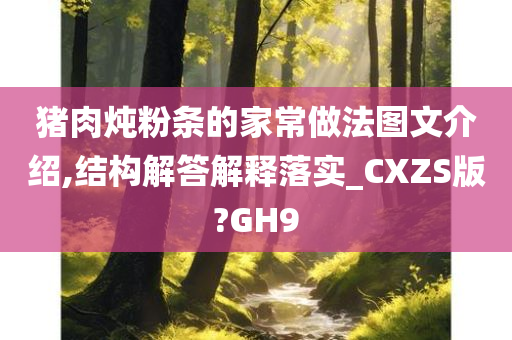 猪肉炖粉条的家常做法图文介绍,结构解答解释落实_CXZS版?GH9