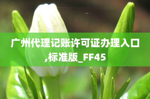 广州代理记账许可证办理入口,标准版_FF45