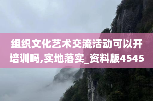 组织文化艺术交流活动可以开培训吗,实地落实_资料版4545