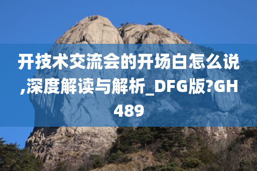 开技术交流会的开场白怎么说,深度解读与解析_DFG版?GH489