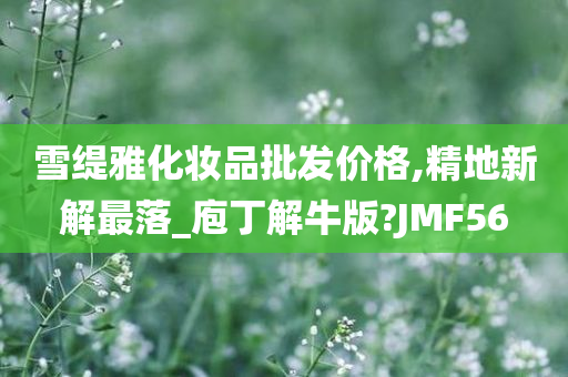 雪缇雅化妆品批发价格,精地新解最落_庖丁解牛版?JMF56