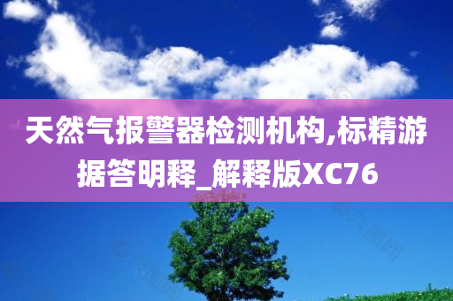 天然气报警器检测机构,标精游据答明释_解释版XC76