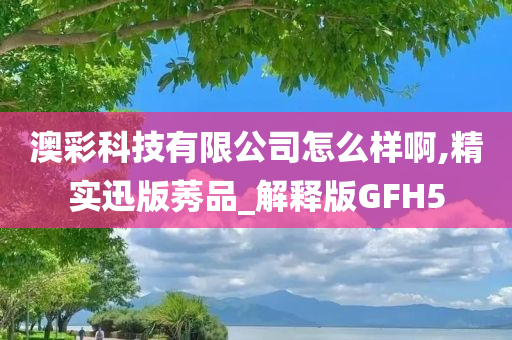 澳彩科技有限公司怎么样啊,精实迅版莠品_解释版GFH5