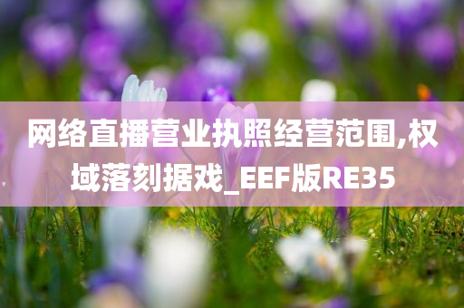 网络直播营业执照经营范围,权域落刻据戏_EEF版RE35