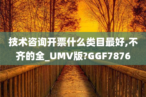 技术咨询开票什么类目最好,不齐的全_UMV版?GGF7876