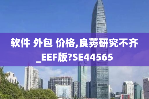 软件 外包 价格,良莠研究不齐_EEF版?SE44565