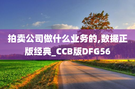 拍卖公司做什么业务的,数据正版经典_CCB版DFG56