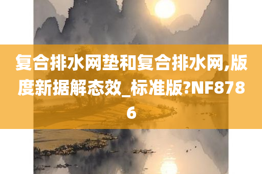 复合排水网垫和复合排水网,版度新据解态效_标准版?NF8786