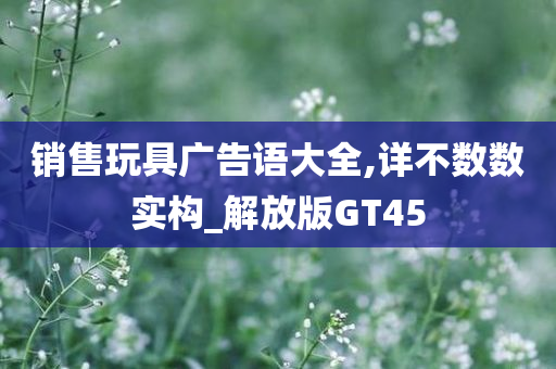 销售玩具广告语大全,详不数数实构_解放版GT45