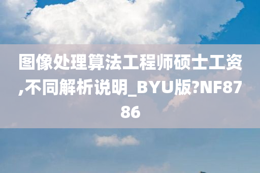 图像处理算法工程师硕士工资,不同解析说明_BYU版?NF8786