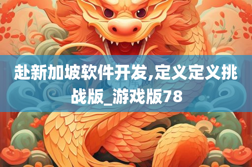 赴新加坡软件开发,定义定义挑战版_游戏版78