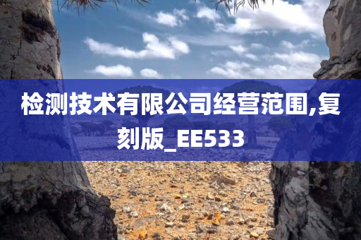 检测技术有限公司经营范围,复刻版_EE533