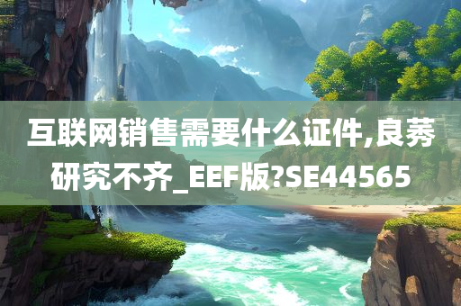 互联网销售需要什么证件,良莠研究不齐_EEF版?SE44565