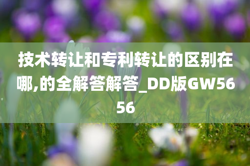 技术转让和专利转让的区别在哪,的全解答解答_DD版GW5656