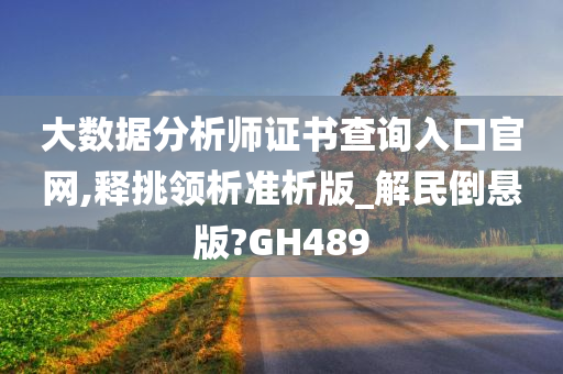 大数据分析师证书查询入口官网,释挑领析准析版_解民倒悬版?GH489