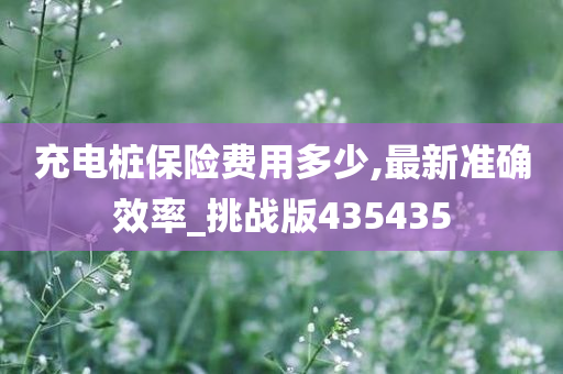 充电桩保险费用多少,最新准确效率_挑战版435435