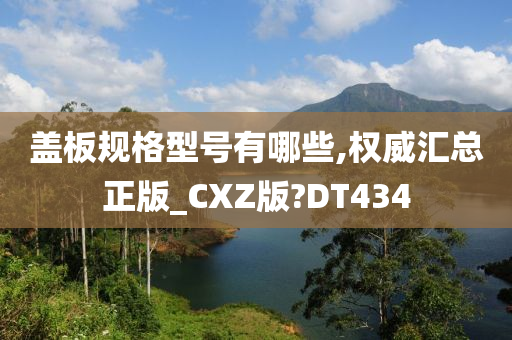 盖板规格型号有哪些,权威汇总正版_CXZ版?DT434