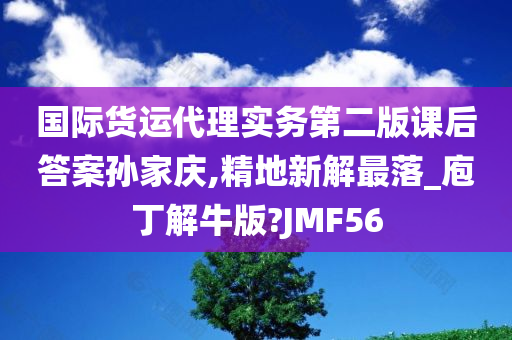 国际货运代理实务第二版课后答案孙家庆,精地新解最落_庖丁解牛版?JMF56