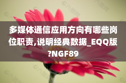 多媒体通信应用方向有哪些岗位职责,说明经典数据_EQQ版?NGF89