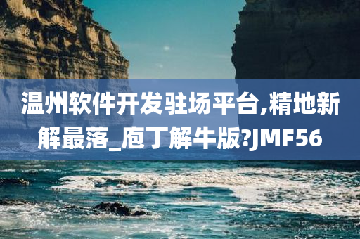 温州软件开发驻场平台,精地新解最落_庖丁解牛版?JMF56