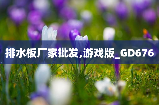 排水板厂家批发,游戏版_GD676