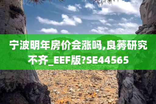 宁波明年房价会涨吗,良莠研究不齐_EEF版?SE44565