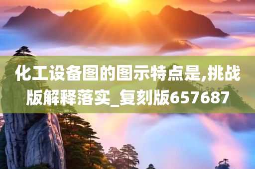 化工设备图的图示特点是,挑战版解释落实_复刻版657687