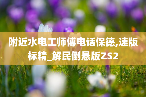 附近水电工师傅电话保德,速版标精_解民倒悬版ZS2