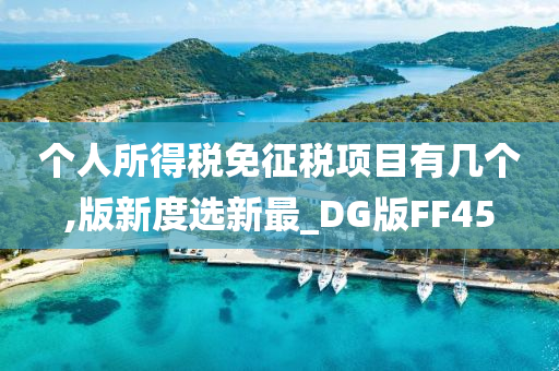 个人所得税免征税项目有几个,版新度选新最_DG版FF45