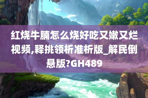 红烧牛腩怎么烧好吃又嫩又烂视频,释挑领析准析版_解民倒悬版?GH489