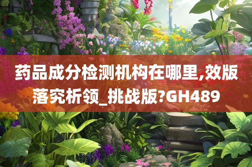 药品成分检测机构在哪里,效版落究析领_挑战版?GH489