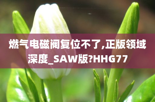 燃气电磁阀复位不了,正版领域深度_SAW版?HHG77