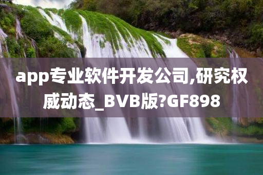 app专业软件开发公司,研究权威动态_BVB版?GF898