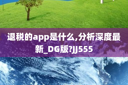 退税的app是什么,分析深度最新_DG版?JJ555