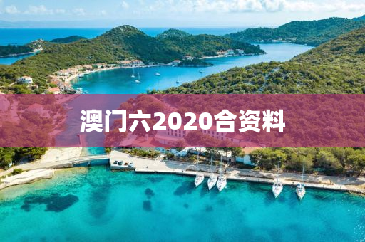 澳门六2020合资料